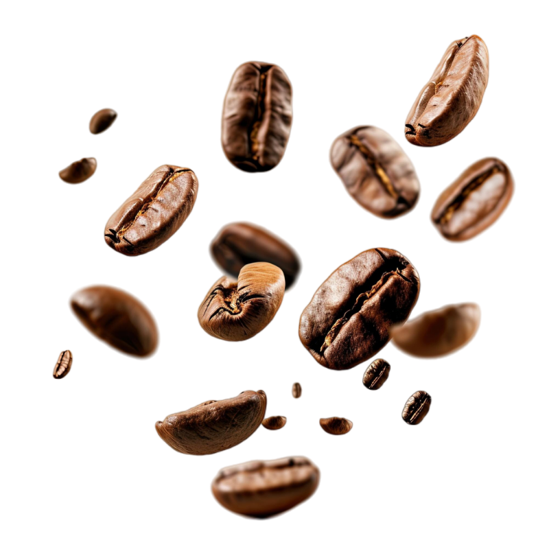 freepik-export-20240817232133eADm